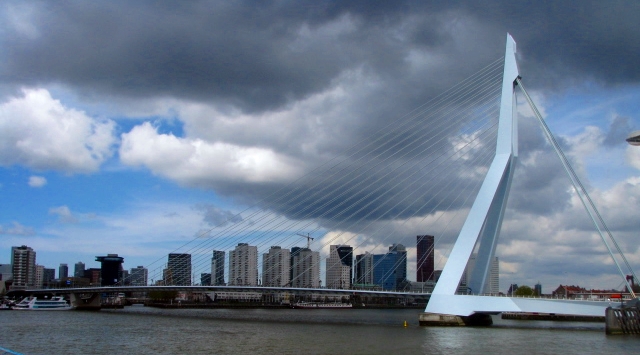 white bridge in Rotterdam
